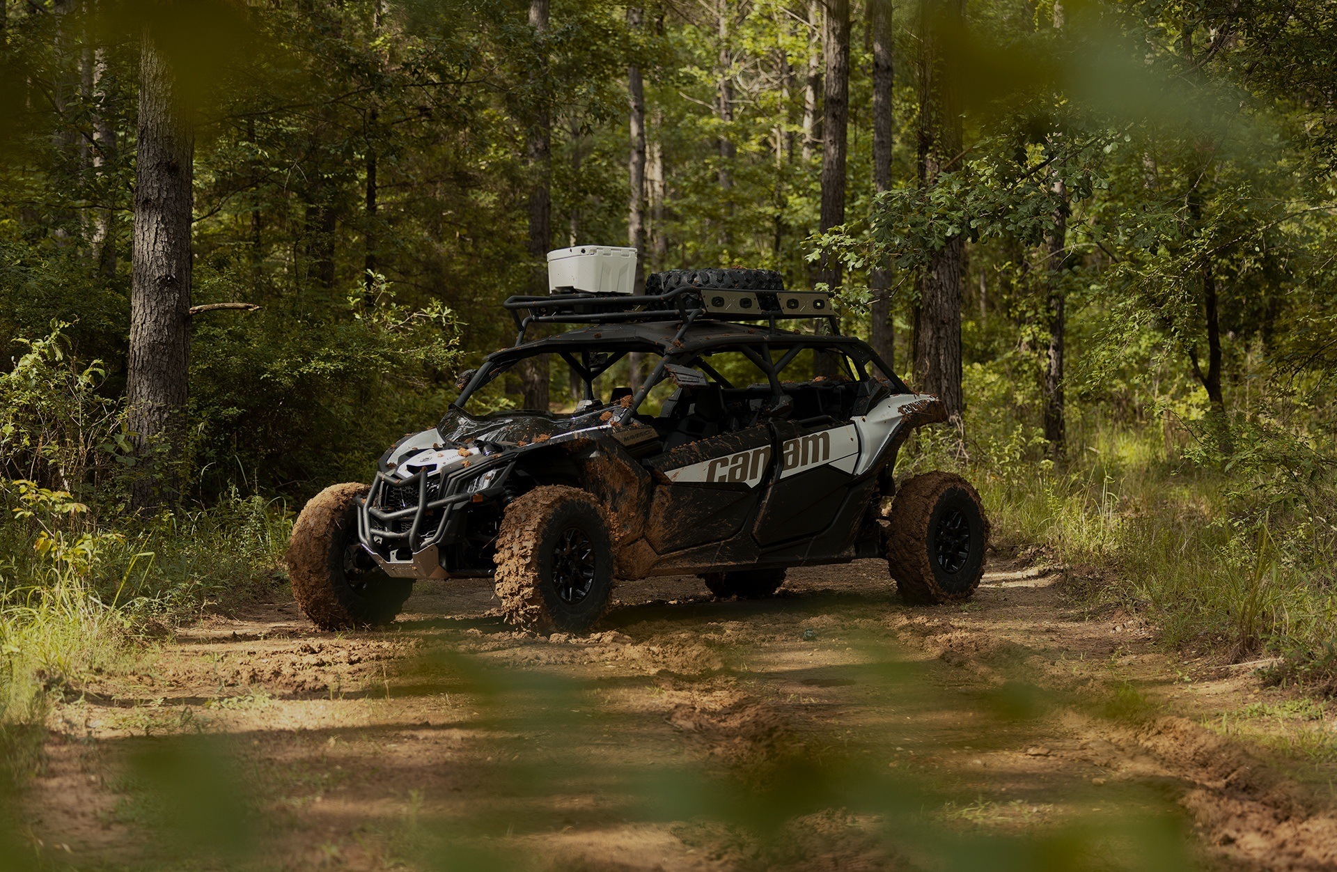 Savannah Powersports