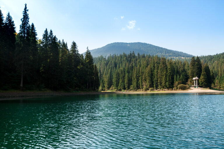 Priest Lake Marine and Motorsports