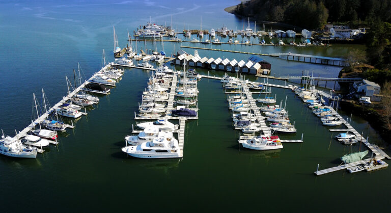 Eagle Harbor Marina