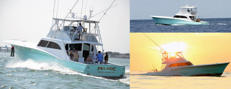 Pelagic Sport Fishing Charters