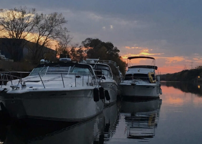Forest View Marina