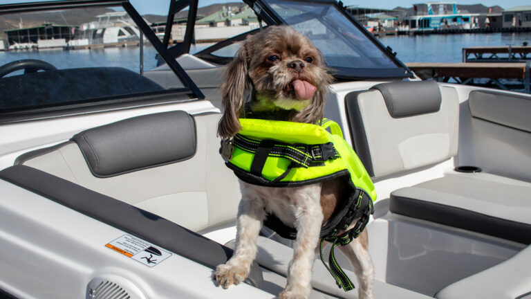 Captain Pickles’ Boat Rentals