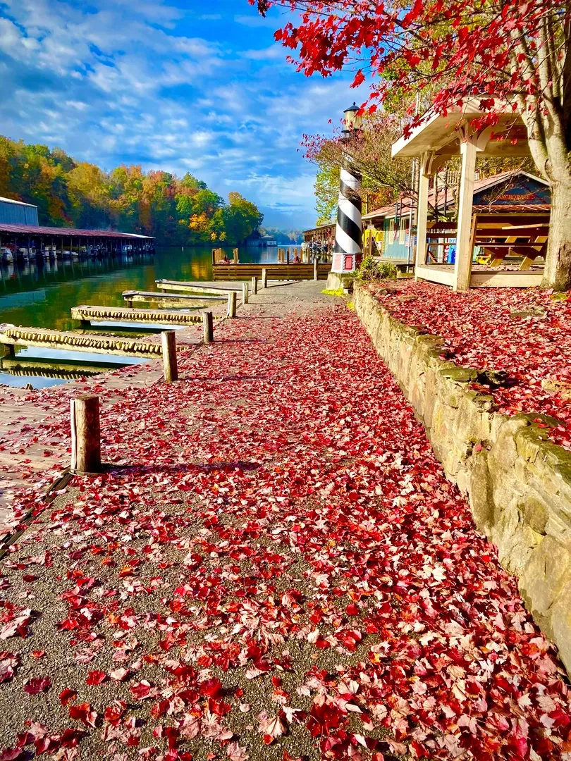 Anchorage Marine INC (Repairs and Rentals)