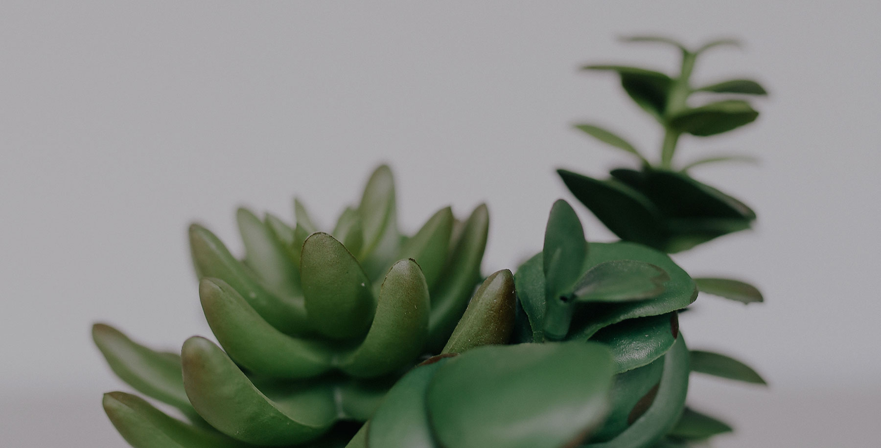 New Double R Charter Fishing