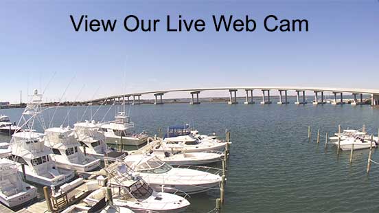 Town Creek Marina