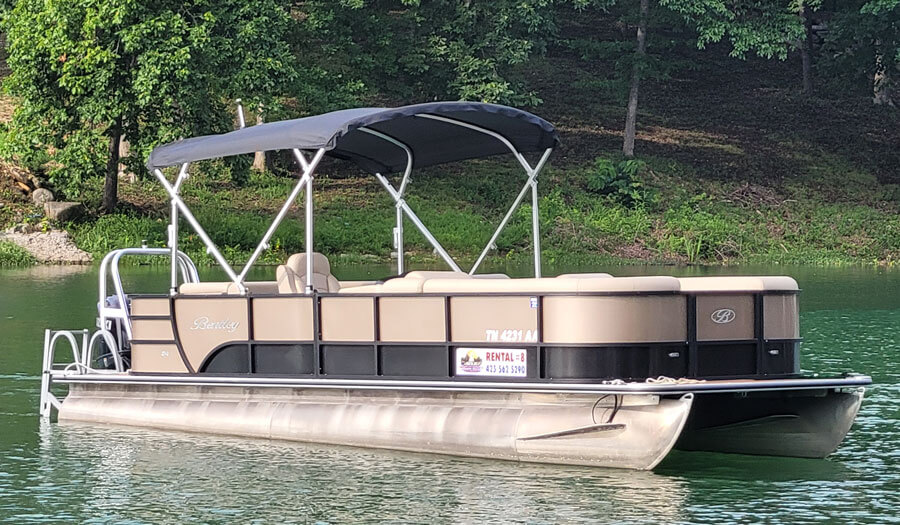 Bos at Indian River Marina Jacksboro TN