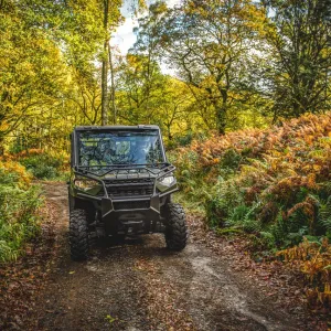 RZR RIPN RENTALS