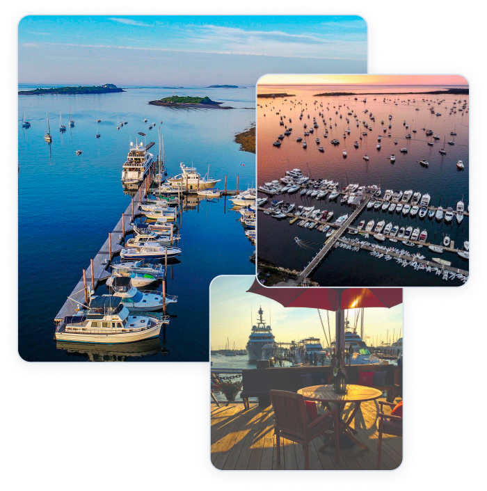 Savanna Marina