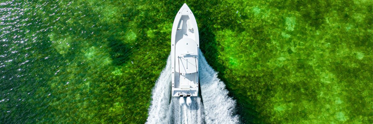 Bluewater Yacht Sales