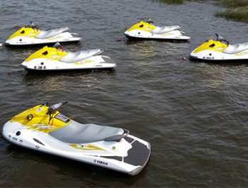 Kitty Hawk Kites