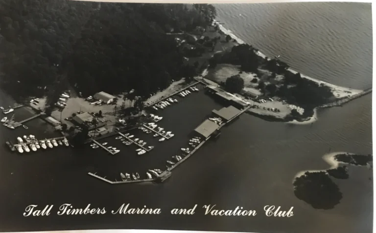 Tall Timbers Marina