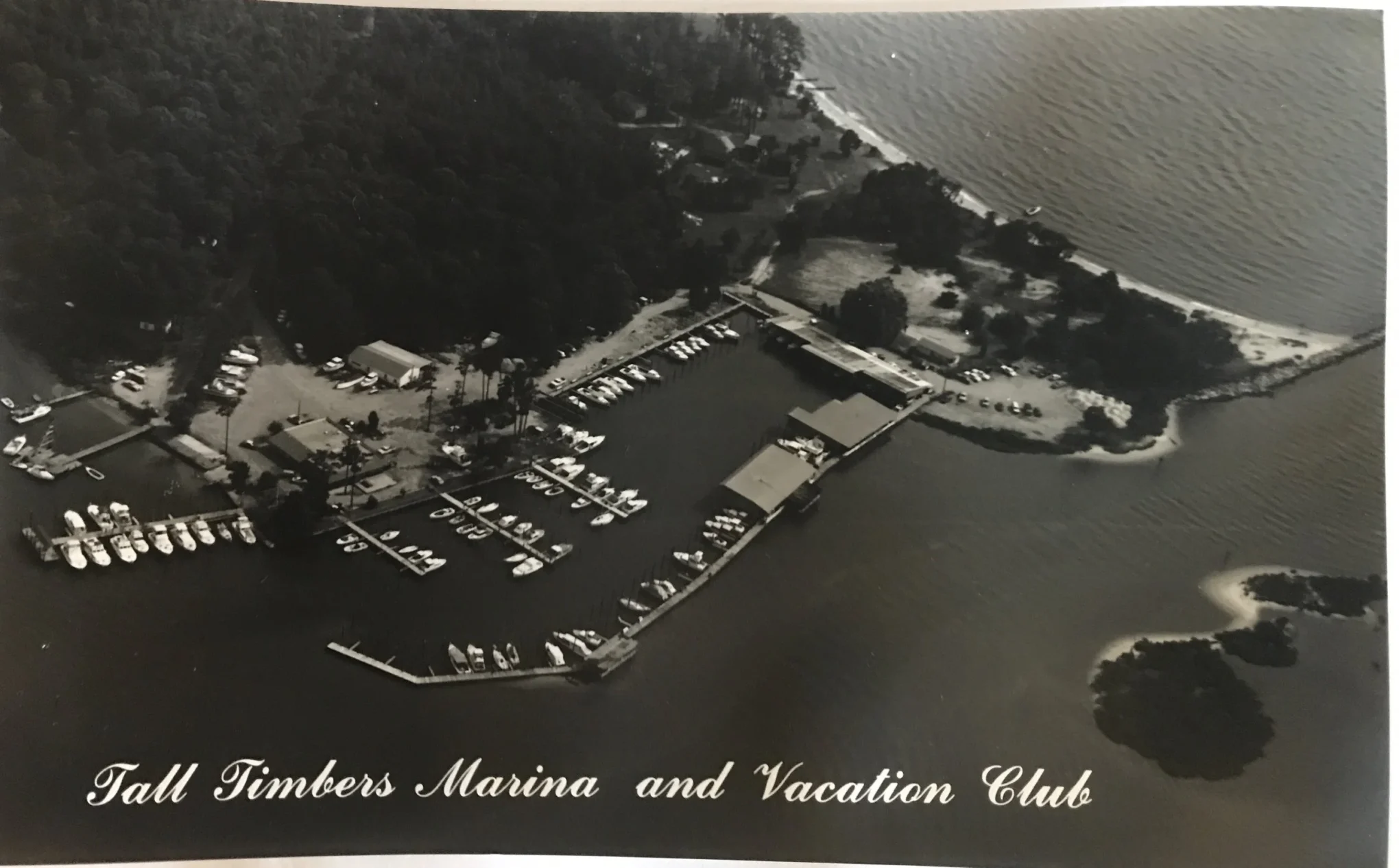 Tall Timbers Marina